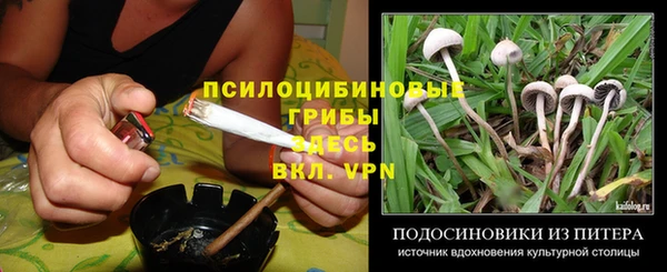 Альфа ПВП Абаза